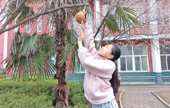 示范区带领调研沉点项目扶植