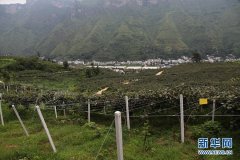 【凉都发布】太牛了！全省独一全国仅11个！水城